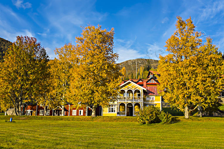 Gård bland höstlöv byggnader, gårdar, hus, höst, höstfärger, höstlöv, Jämtland, Tottens byväg