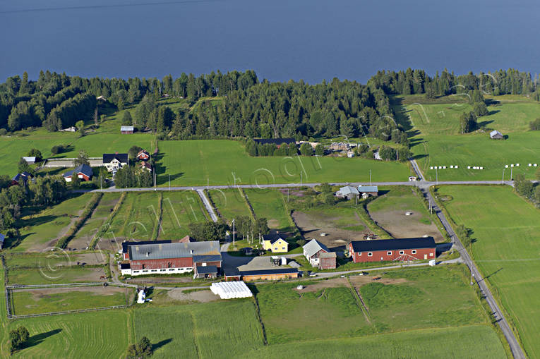 Gård i Överbyn Marieby drönarbilder, drönarfoto, flygbild, flygbilder, Flygfoto, flygfoton, gårdar, Jämtland, sommar, Överbyn