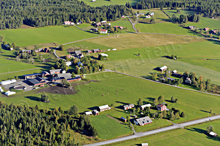 Gårdar Kläppe Östersund drönarbilder, drönarfoto, flygbild, flygbilder, Flygfoto, flygfoton, gårdar, Jämtland, kläppe, landsbygd, sommar