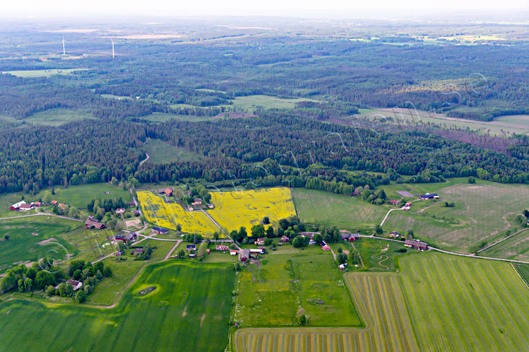 Gårdar Slättervalla Flygfoto by, byar, byggnader, drönarbilder, drönarfoto, flygbild, flygbilder, Flygfoto, flygfoton, gårdar, jordbruksbygd, Landskap, rapsfält, Sjötorp, Slättervalla, sommar, Västergötland
