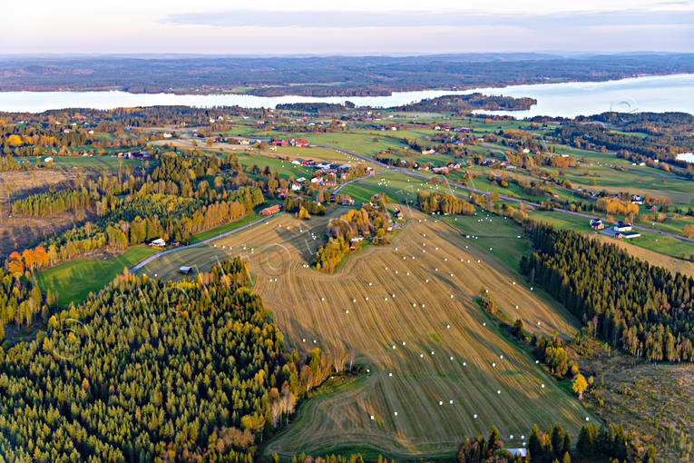 Gårdar i Ångsta byar, drönarbild, drönarbilder, drönarfoto, flygbild, flygbilder, Flygfoto, flygfoton, gårdar, höst, jordbruksbygd, Jämtland, landsbygd, Lockne, Locknesjön, rundbalar, åkermark, Ångsta