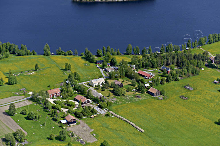 Gårdar på Anviksnäset Revsundssjön Anviken, Anviksnäset, drönarbilder, drönarfoto, flygbild, flygbilder, Flygfoto, flygfoton, gårdar, Jämtland, Revsund, Revsundssjön, sommar