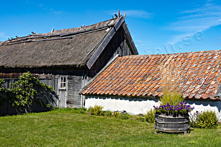 byggnader, halmtak, Smland, taklggning, uthus, Visings