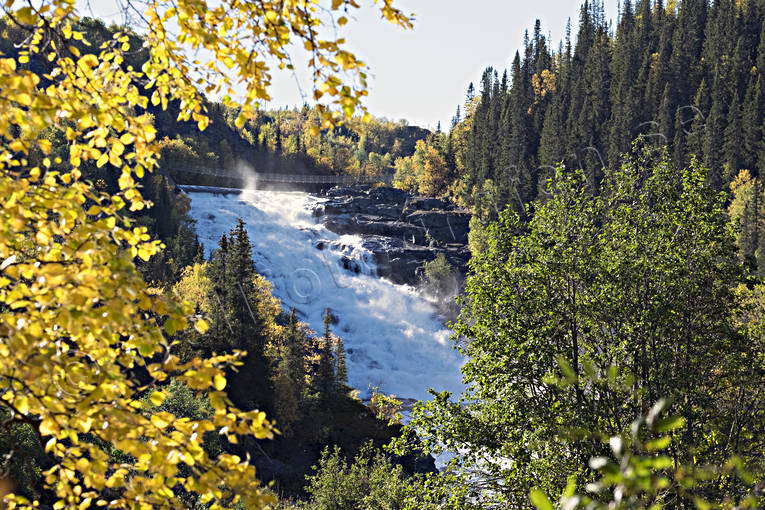 fall, fors, Handlan, Handlsforsen, hst, hstfrger, hstlv, Jmtland, Landskap, sevrdhet, Sevrdheter, vatten, vattendrag, vattenfall, rstid, rstider