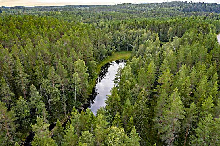 Hans Lidmans Svartån drönarbild, drönarbilder, drönarfoto, fiske, fiskeå, flugfiske, flygbild, flygbilder, Flygfoto, flygfoton, Hans Lidman, inspiration, Mållångsboån, skogså, sportfiske, Svartån, å