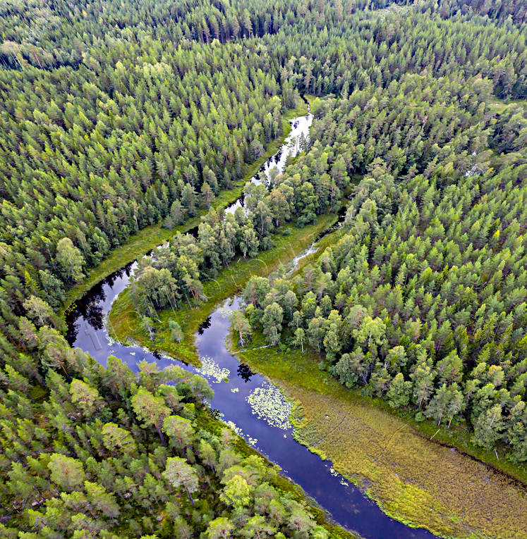 Hans Lidmans Svartån drönarbild, drönarbilder, drönarfoto, fiske, fiskeå, flugfiske, flygbild, flygbilder, Flygfoto, flygfoton, Hans Lidman, inspiration, Mållångsboån, skogså, sportfiske, Svartån, å