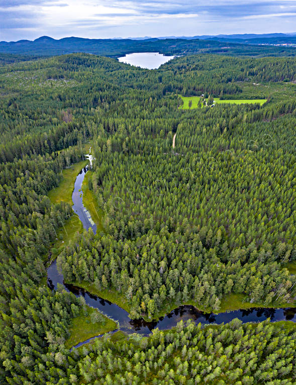 Hans Lidmans Svartån drönarbild, drönarbilder, drönarfoto, fiske, fiskeå, flugfiske, flygbild, flygbilder, Flygfoto, flygfoton, Hans Lidman, inspiration, Mållångsboån, skogså, sportfiske, Svartån, å