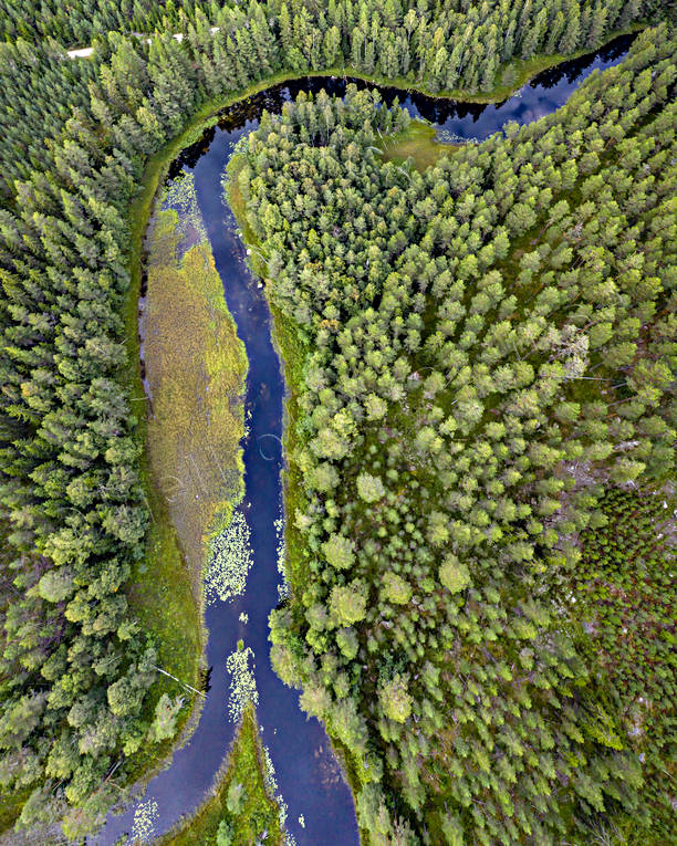 Hans Lidmans Svartån drönarbild, drönarbilder, drönarfoto, fiske, fiskeå, flugfiske, flygbild, flygbilder, Flygfoto, flygfoton, Hans Lidman, inspiration, Mållångsboån, skogså, sportfiske, Svartån, å