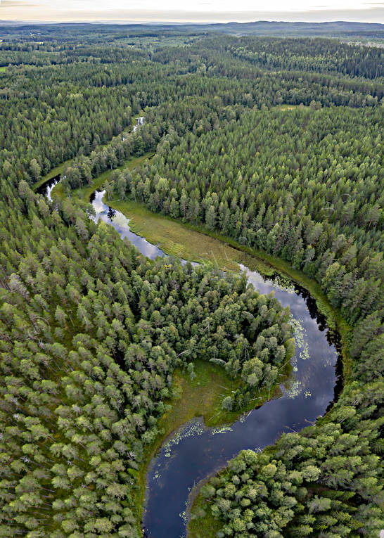 Hans Lidmans Svartån drönarbild, drönarbilder, drönarfoto, fiske, fiskeå, flugfiske, flygbild, flygbilder, Flygfoto, flygfoton, Hans Lidman, inspiration, Mållångsboån, skogså, sportfiske, Svartån, å