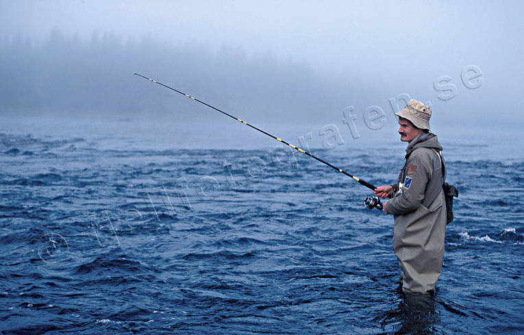Haspelfiske i Granboforsen dimma, fiskare, fiske, fors, Granboforsen, haspel, haspelfiske, spinn, spinnfiske, sportfiske