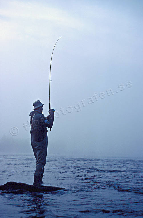 Haspelfiske i Granboforsen dimma, fiskare, fiske, fors, Granboforsen, haspel, haspelfiske, spinn, spinnfiske, sportfiske