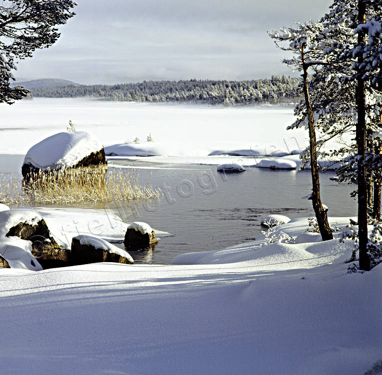 Herrevadsstrmmen, julkort, julstmning, sjfart, stmning, stmningsbild, stmningsbilder, vassrugge, vatten, vattendrag, vinter, vintervy, rstid, rstider