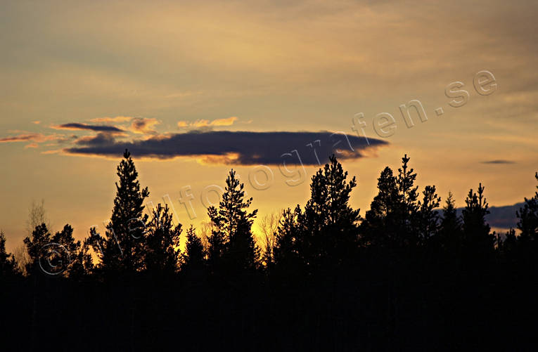 gul, himmel, hst, kvll, moln, rd, skog, skogskant, skogsrand, solnedgng, stmning, stmningsbild, stmningsbilder, rstid, rstider