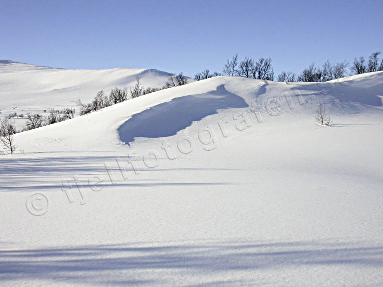 fjll, fjllen, hngdriva, Jmtland, Landskap, sn, vinter