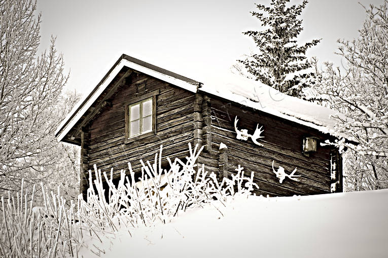 byggnader, gammal, hrbre, Jmtland, timmerhus, timrad, vinter, rstid, rstider, lghorn