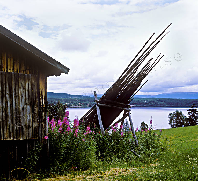 Hrjedalen, hssjevirke, lada, Ljusnan, mjlkrt, rallarros, sommar, rstid, rstider