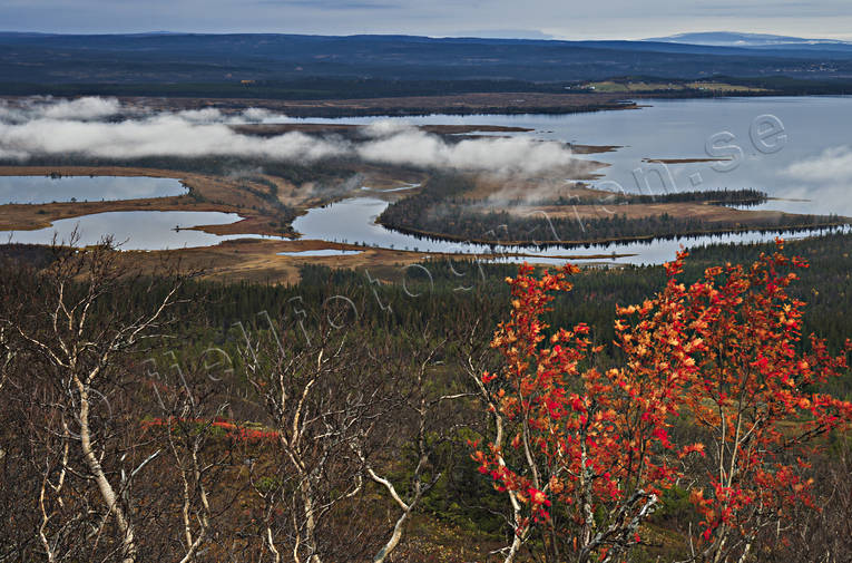 dimma, dimmor, dimsljor, hst, hstfrger, Jmtland, Landskap, morgondimma, natur, sj, stmning, stmningsbild, stmningsbilder, nnsjn, rstid, rstider
