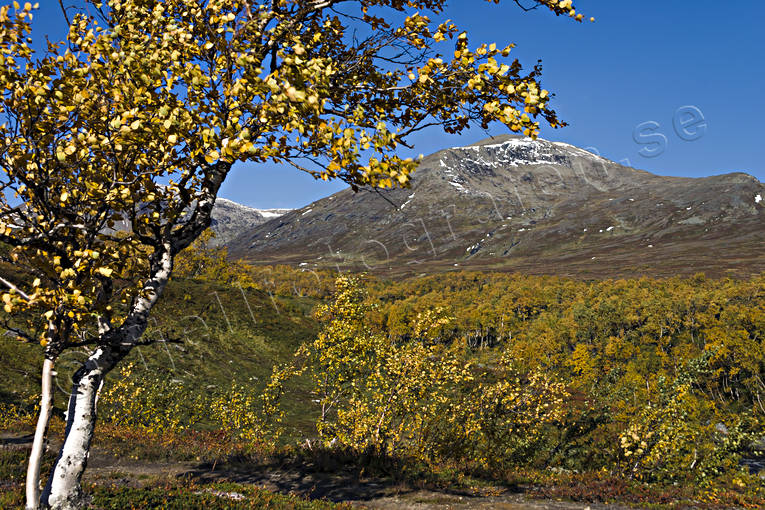 fjll, fjllandskap, fjllen, fjlltopp, hgfjll, hst, hstfrger, hstmorgon, Jmtland, Landskap, rd, rtt, Snasahgarna, Snasen, Storsnasen, Tvrn, rstid, rstider