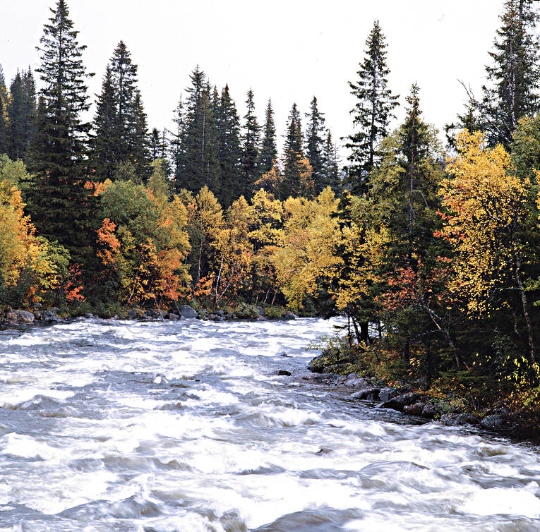 Bydalen, Dammn, hst, hstfrger, Oviksfjllen, sjfart, strmmande, stmning, stmningsbild, stmningsbilder, vatten, vattendrag, rstid, rstider