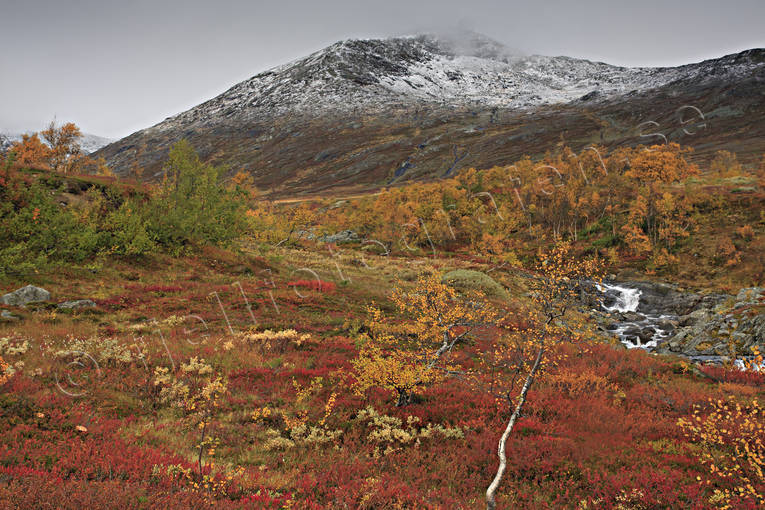 fjll, fjlltopp, hst, hstfrger, Jmtland, Landskap, natur, rd, rtt, Snasen, Storsnasen, Tvrn, rstider