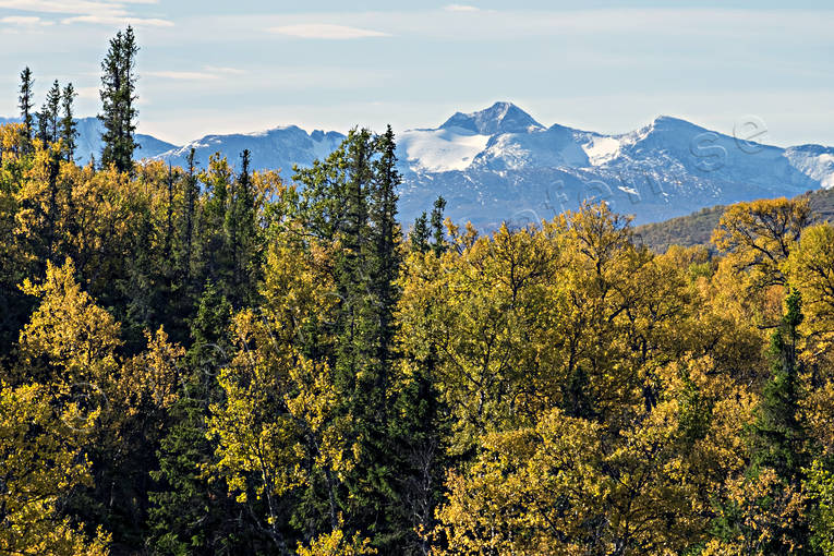 fjll, fjllandskap, fjllen, fjllmassiv, fjllnatur, fjlltopp, hgfjll, hgfjllen, hst, hstfrger, Jmtland, Landskap, natur, sylarna, sylfjllen, Sylmassivet, Syltoppen, rstid, rstider