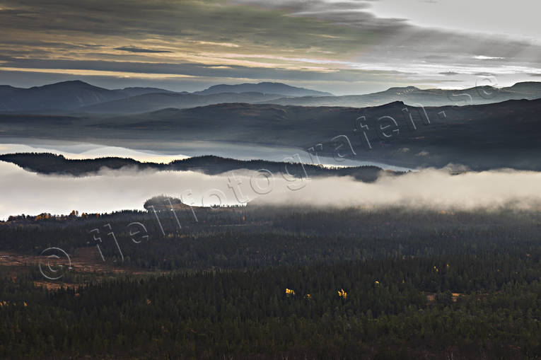 Bunnerviken, dimma, dimmor, dimsljor, fjll, fjllen, hst, hstfrger, Jmtland, Landskap, morgondimma, natur, sj, skog, stmning, stmningsbild, stmningsbilder, nnsjn, rstid, rstider