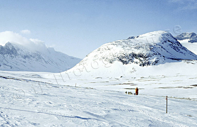 Hundspann i fjällen fjäll, Herrklumpen, hundspann, Jämtland, Landskap, sylarna, vinter