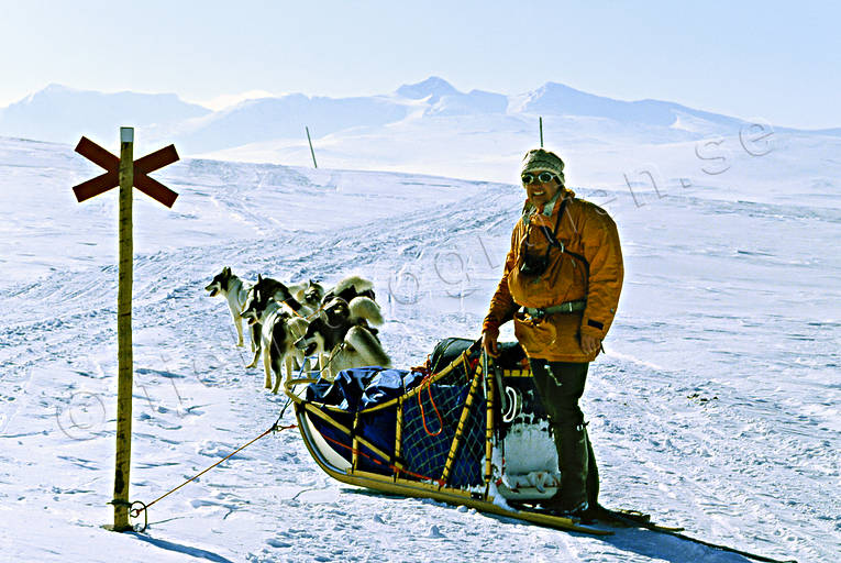 Hundspann mot Sylarna draghundar, draghundtur, fjäll, FJÄLLEN, hundspann, Härjedalen, ledmarkering, slädfärd, slädhund, slädhundar, sylarna, uteliv, vinter, äventyr