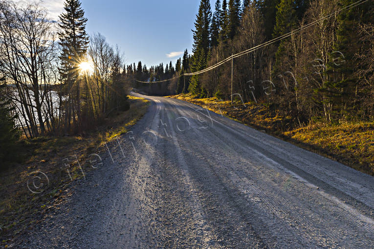Husåvägen soluppgång grusväg, husåvägen, höst, Jämtland, kommunikationer, landfart, Landskap, soluppgång, väg