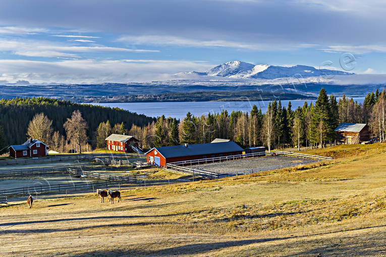 Hästgård Åreskutan anläggningar, byggnader, byggnationer, gårdar, hästar, hästgård, höst, Jämtland, Landskap, Åreskutan