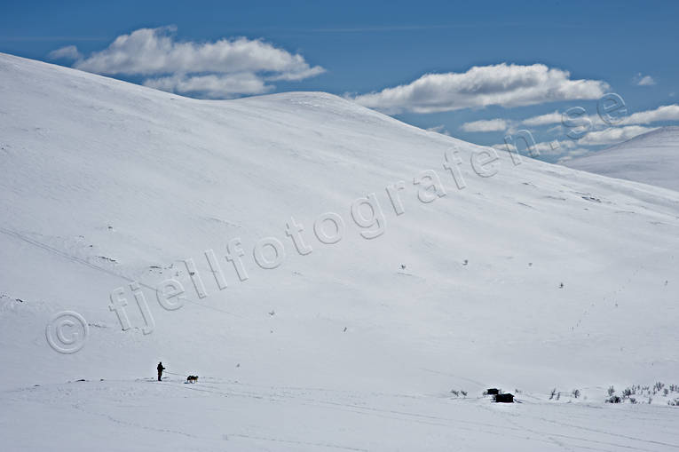 Högfjället i Sonfjället fjäll, fjällen, Härjedalen, Högfjället, Landskap, nationalpark, nationalparker, Sododalen, Sonfjället, vinter