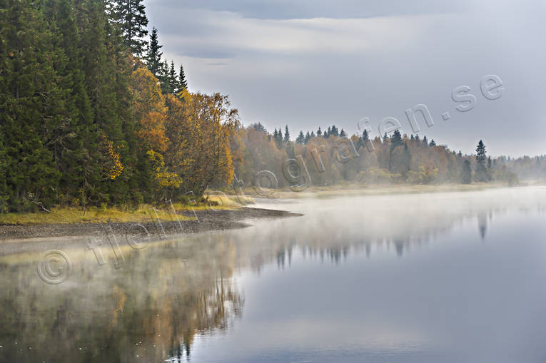 Höstdimma Indalsälven dimma, höst, höstdimma, Indalsälven, Jämtland, Landskap, lugnt, vattendrag, årstider