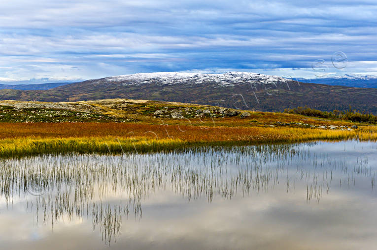 Höstfärger och nysnö i fjällen fjäll, höst, höstfärger, Jämtland, Landskap, natur, nysnö, sjö, årstider