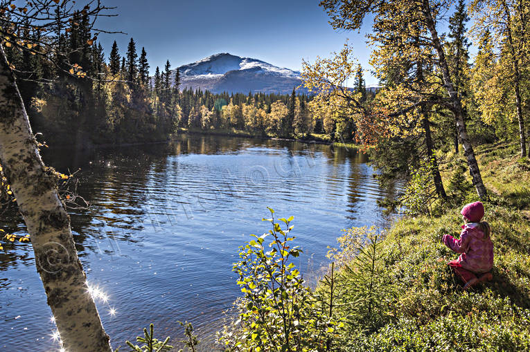 Höstfärger vid Ena älv, Enafors barn, björk, björklöv, Enafors, Enaforsholm, Enan, fjäll, fjällandskap, fjällen, fjälltopp, fjälltoppar, flicka, friluftsliv, högfjäll, höst, höstfärger, höstmorgon, Jämtland, Landskap, natur, skog, Snasahögarna, Snasen, Storsnasen, uteliv, utflykt, vandra, vandrare, vandring, vandringsled, årstid, årstider, älv