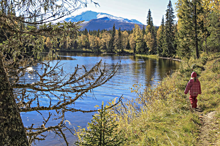 Höstvandring runt Holmen, Enafors. barn, björk, björklöv, Enafors, Enaforsholm, Enan, fjäll, fjällandskap, fjällen, fjälltopp, fjälltoppar, flicka, friluftsliv, högfjäll, höst, höstfärger, höstmorgon, Jämtland, Landskap, natur, skog, Snasahögarna, Snasen, Storsnasen, uteliv, utflykt, vandra, vandrare, vandring, vandringsled, årstid, årstider, älv