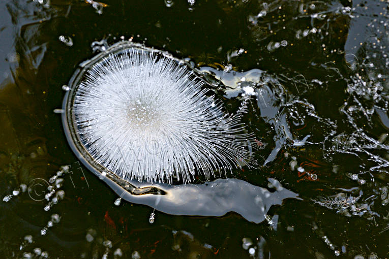 Isformationer formationer, fruset, is, isformationer, iskonst, mönster, natur, naturkonst, sjö, sjöis
