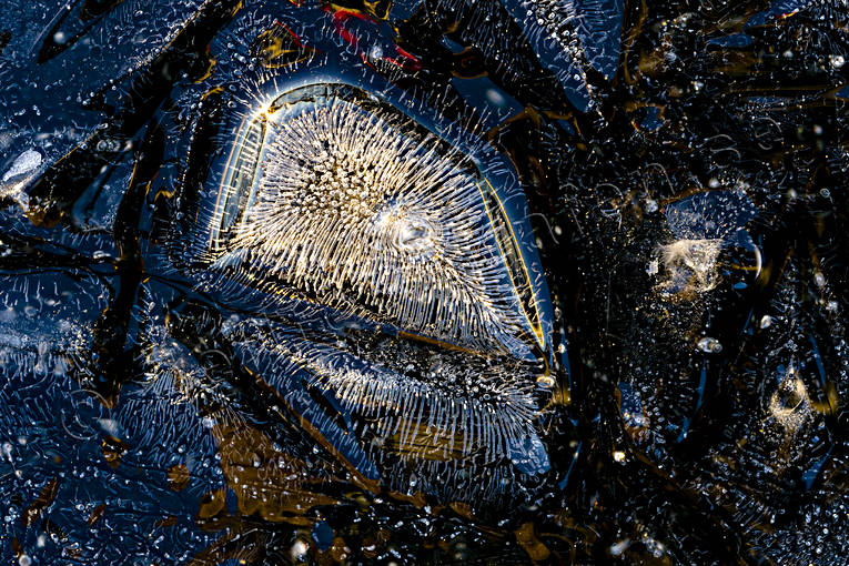 Isformationer formationer, fruset, is, isformationer, iskonst, mönster, natur, naturkonst, sjö, sjöis