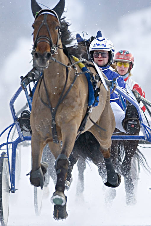 diverse, hstar, istrav, kuskar, sport, trav, vinter, re, resjn