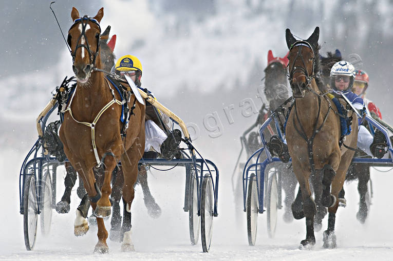 Istrav Åresjön diverse, hästar, istrav, kuskar, sport, trav, vinter, Åre, Åresjön