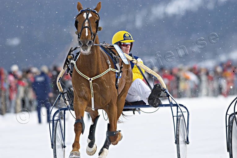 Istrav Åresjön diverse, hästar, istrav, kuskar, sport, trav, vinter, Åre, Åresjön
