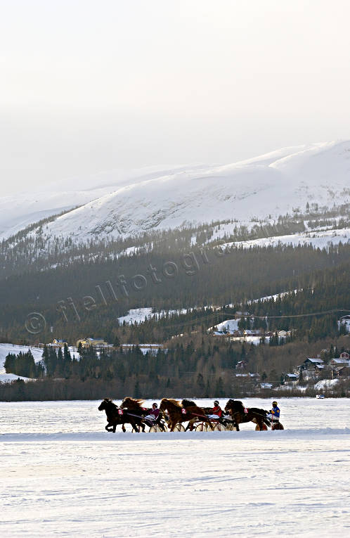 Istrav Åresjön diverse, hästar, istrav, kuskar, sport, trav, vinter, Åre, Åresjön