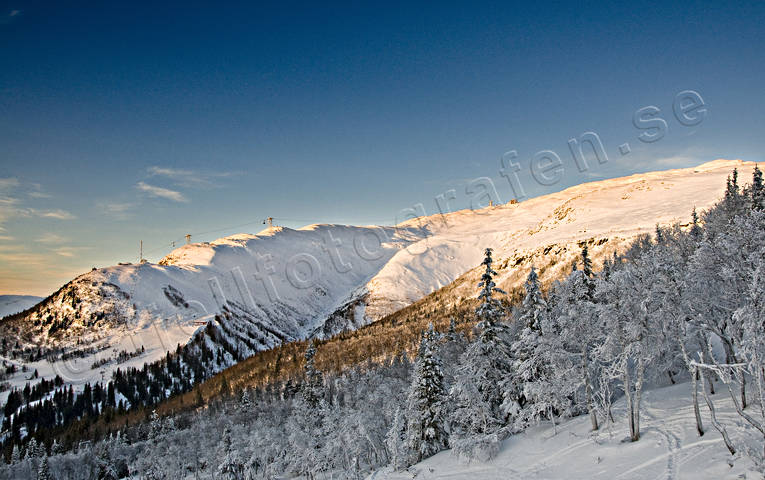 fjll, Hummeln, Jmtland, Landskap, vinter, re, reskutan