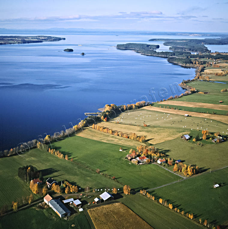 Jordbruksbygd Storsjön Orrviken drönarbilder, drönarfoto, flygbild, flygbilder, Flygfoto, flygfoton, höst, höstfärger, Jämtland, Landskap, Nordrön, Orrviken, Storsjön, Sunne