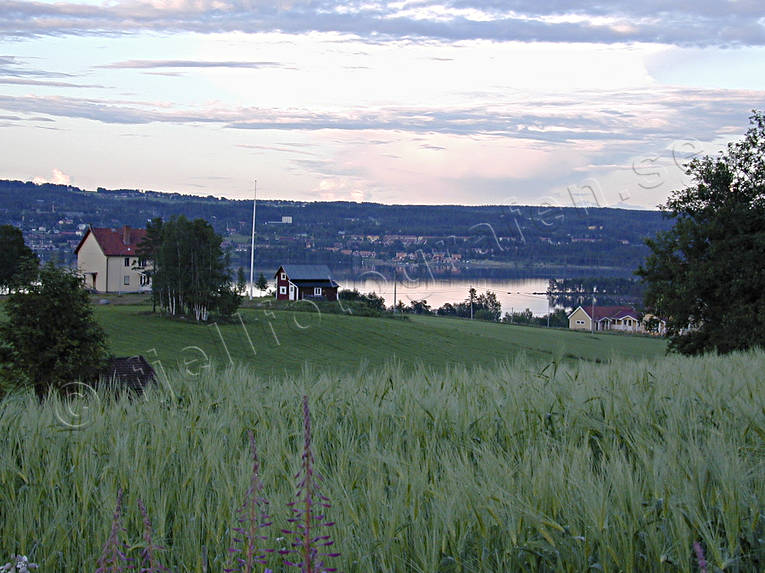 Brunflo, jordbruk, jordbruksbygd, Jmtland, Landskap, sommar, Storsjn, Vlbacken