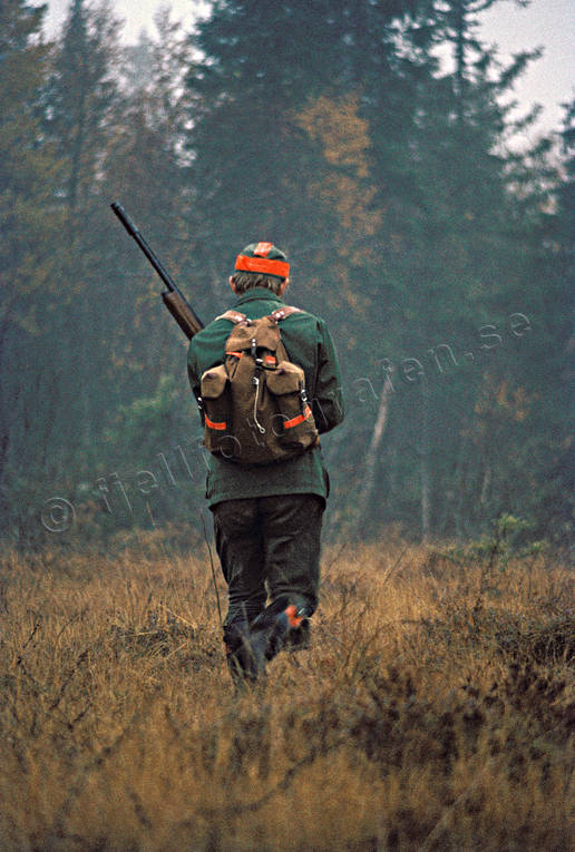 Jägare med orange hattband allmänjakt, hagelautomat, hattband, jakt, myr, orange, ripjakt, ripjägare, signalband, signalfärg