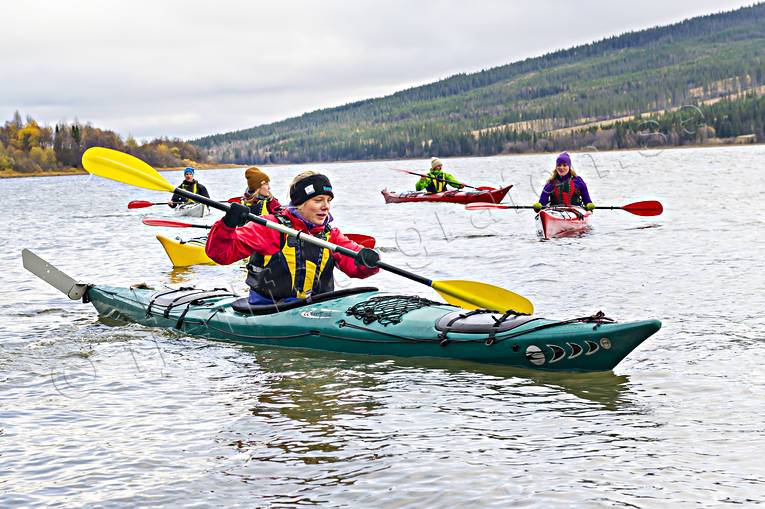 Kajaker på Åresjön friluftsliv, höst, kajak, kommunikationer, paddla, sjöfart, vattensport, Åresjön, äventyr
