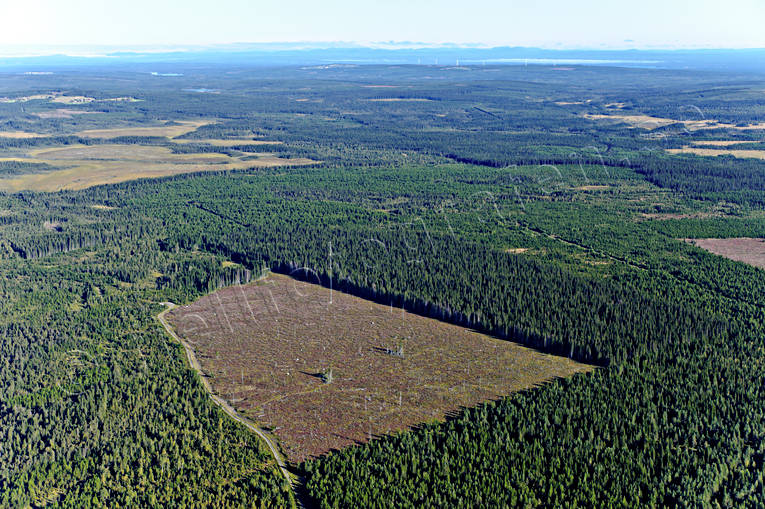 arbete, drnarbilder, drnarfoto, flygbild, flygbilder, Flygfoto, flygfoton, hygge, Jmtland, kalhygge, Landskap, skog, skogsbruk, sommar, vindmtarmast