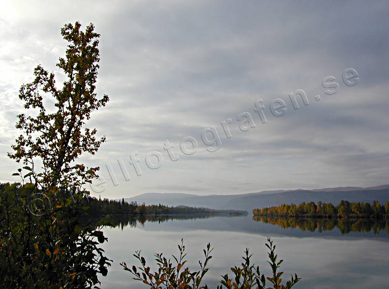 hst, Kamajkk, Kvikkjokk, Landskap, lappland