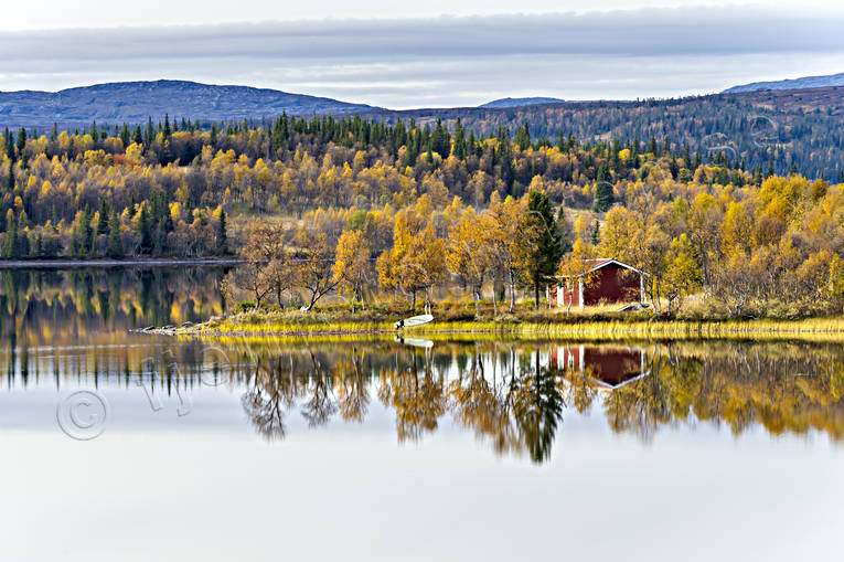 Klingerselet höst fjällsjö, höst, höstfärger, Jämtland, Klingerselet, Landskap, sjö, sportfiske, stuga, årstider