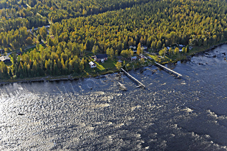 Kukkolaforsen i Torne älv drönarbilder, drönarfoto, flygbild, flygbilder, Flygfoto, flygfoton, höst, Kukkola, Kukkolaforsen, Landskap, Nationalälvdagen, Norrbotten, sikhåvning, Torne älv, älvsik